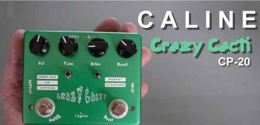 Caline Crazy Cacti: Versatility in Overdrive in a Single Pedal