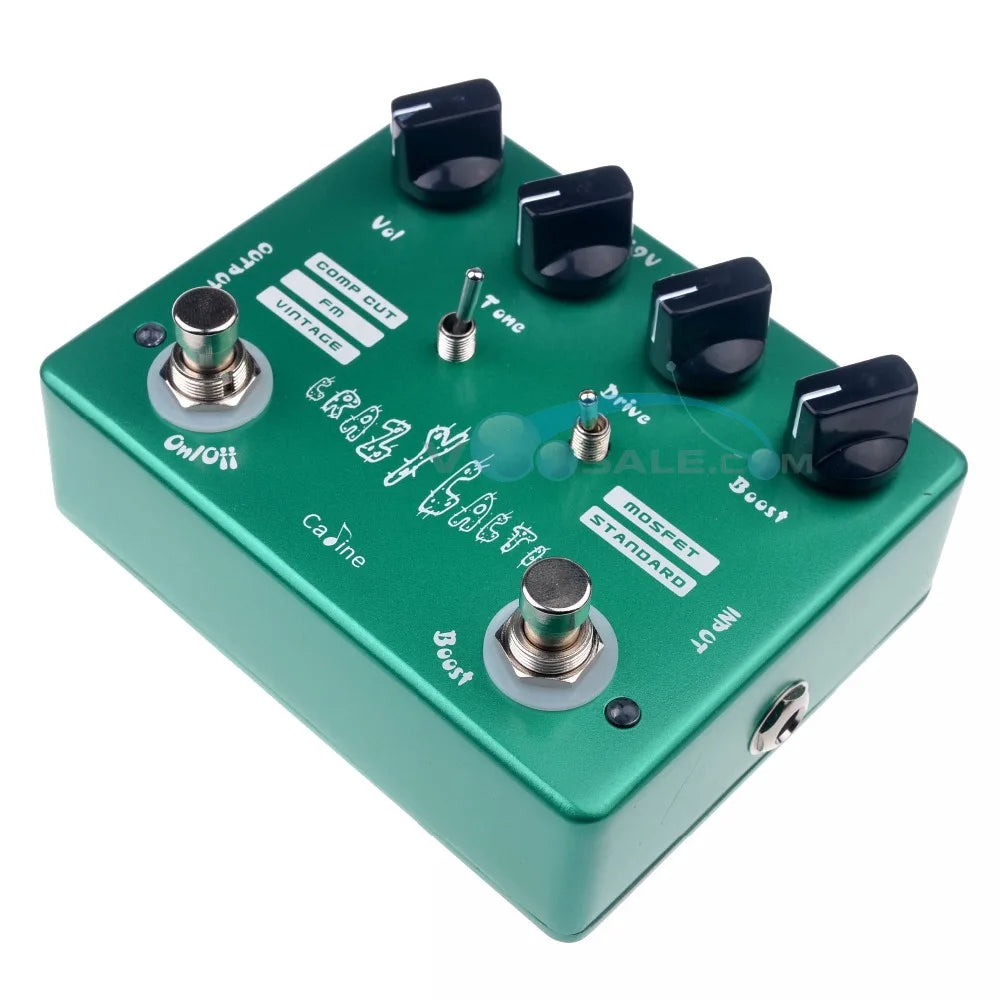 Caline CP-20 Crazy Cacti Overdrive