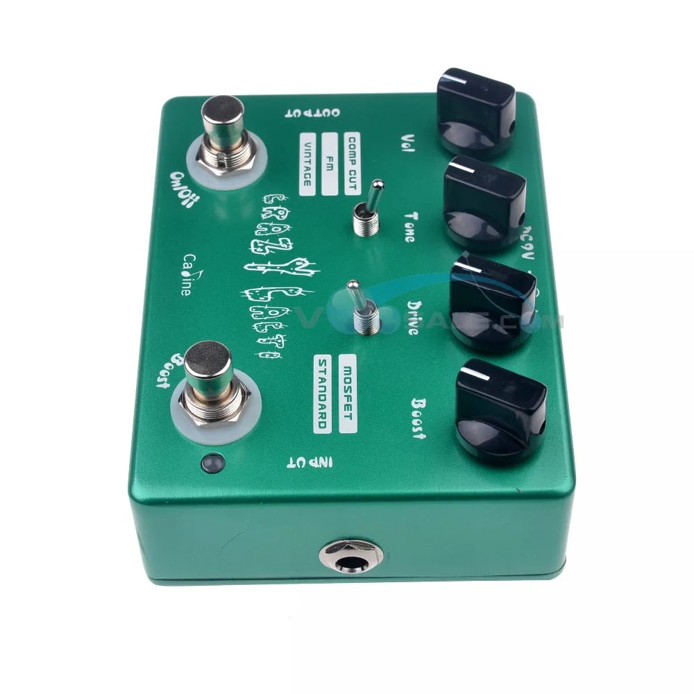 Caline CP-20 Crazy Cacti Overdrive