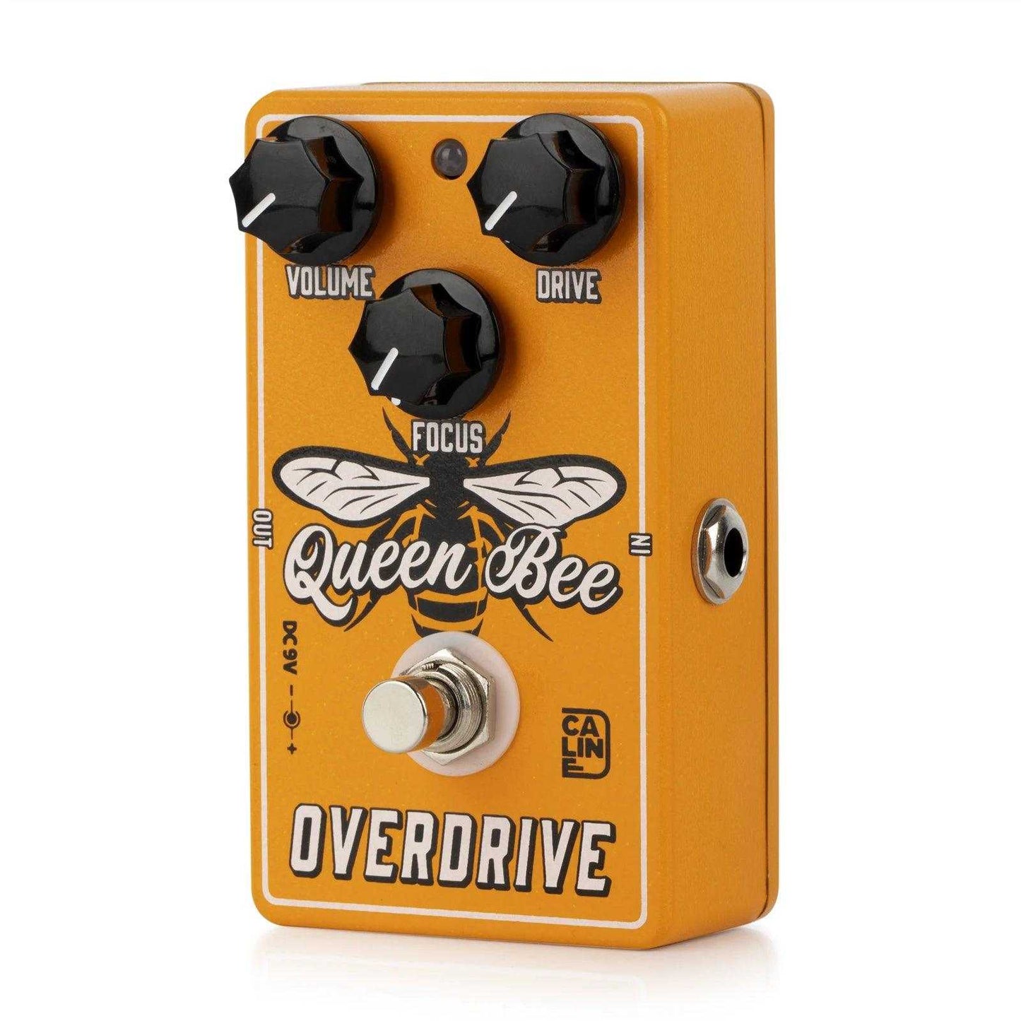 Caline CP-503 Queen Bee Overdrive Caline CP-503 Queen Bee Overdrive StompBoxStore