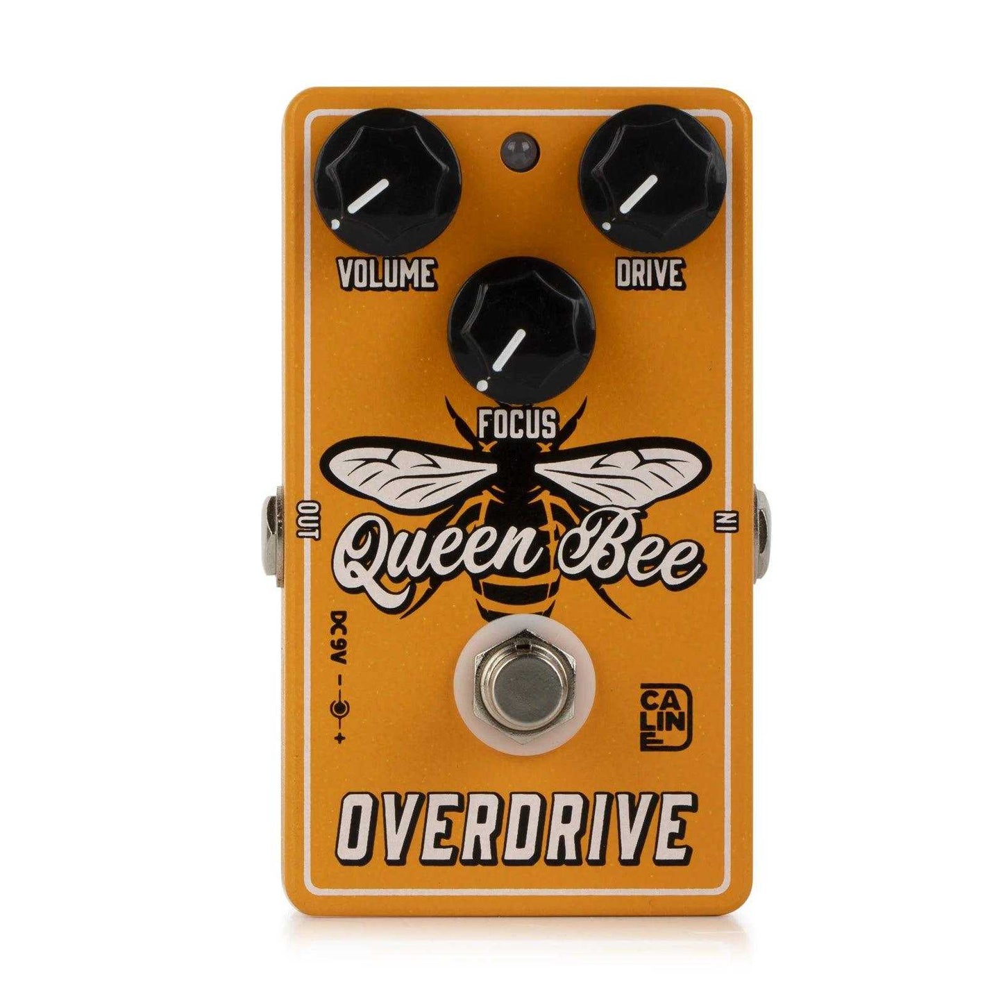 Caline CP-503 Queen Bee Overdrive Caline CP-503 Queen Bee Overdrive StompBoxStore